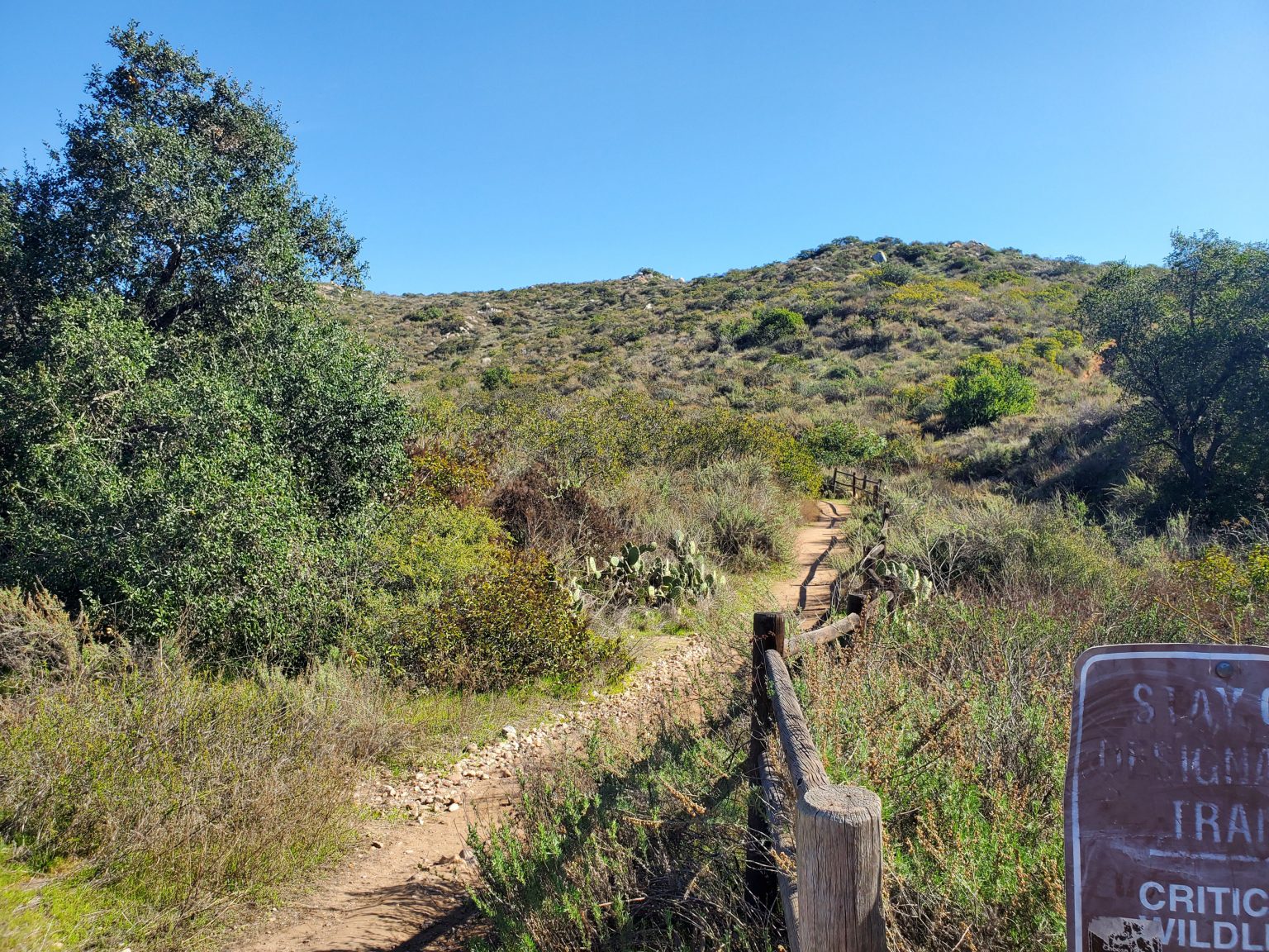 San Diego Hikes: South Fortuna Mountain at Mission Trails - Fun Diego ...