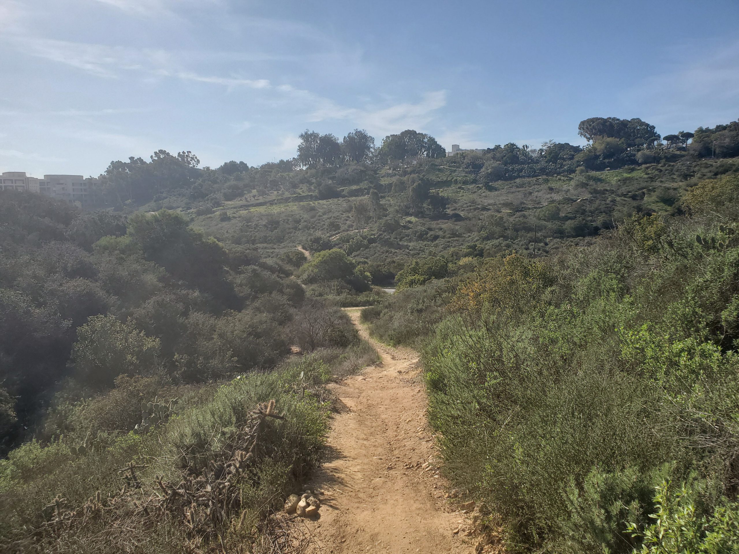 Balboa Park Trail