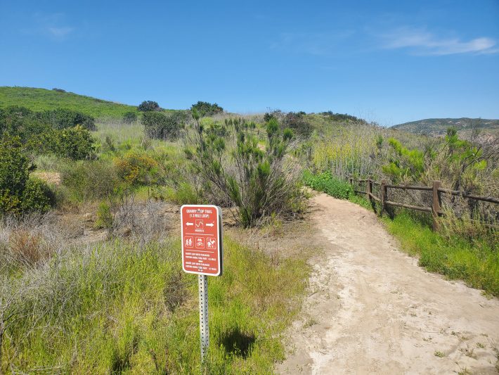 Hiking San Diego: 1-Mile Hike on Quarry Loop Trail - Fun Diego Family