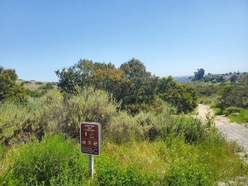 Hiking San Diego: 1-Mile Hike on Quarry Loop Trail - Fun Diego Family