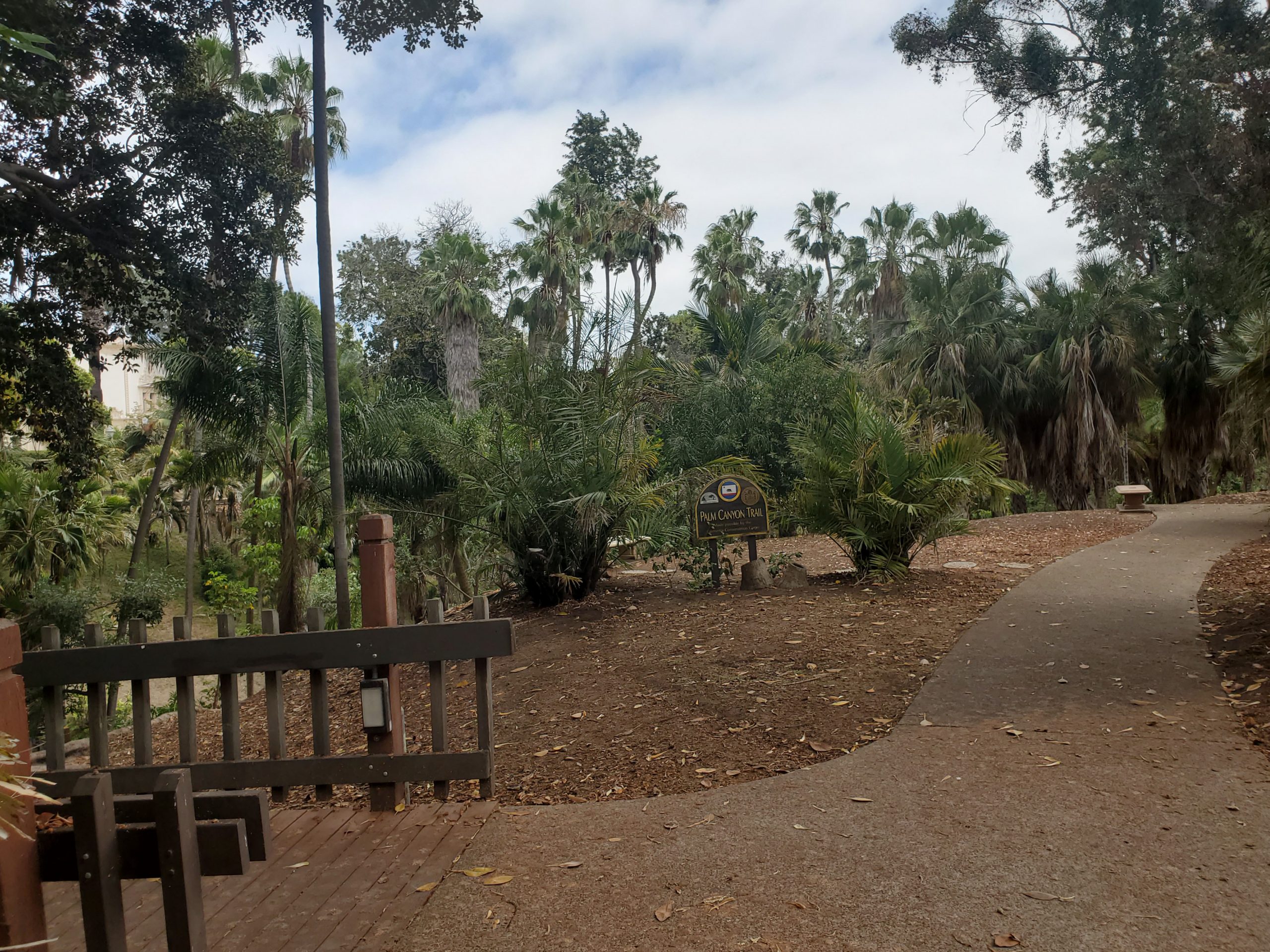 Balboa Park Hike