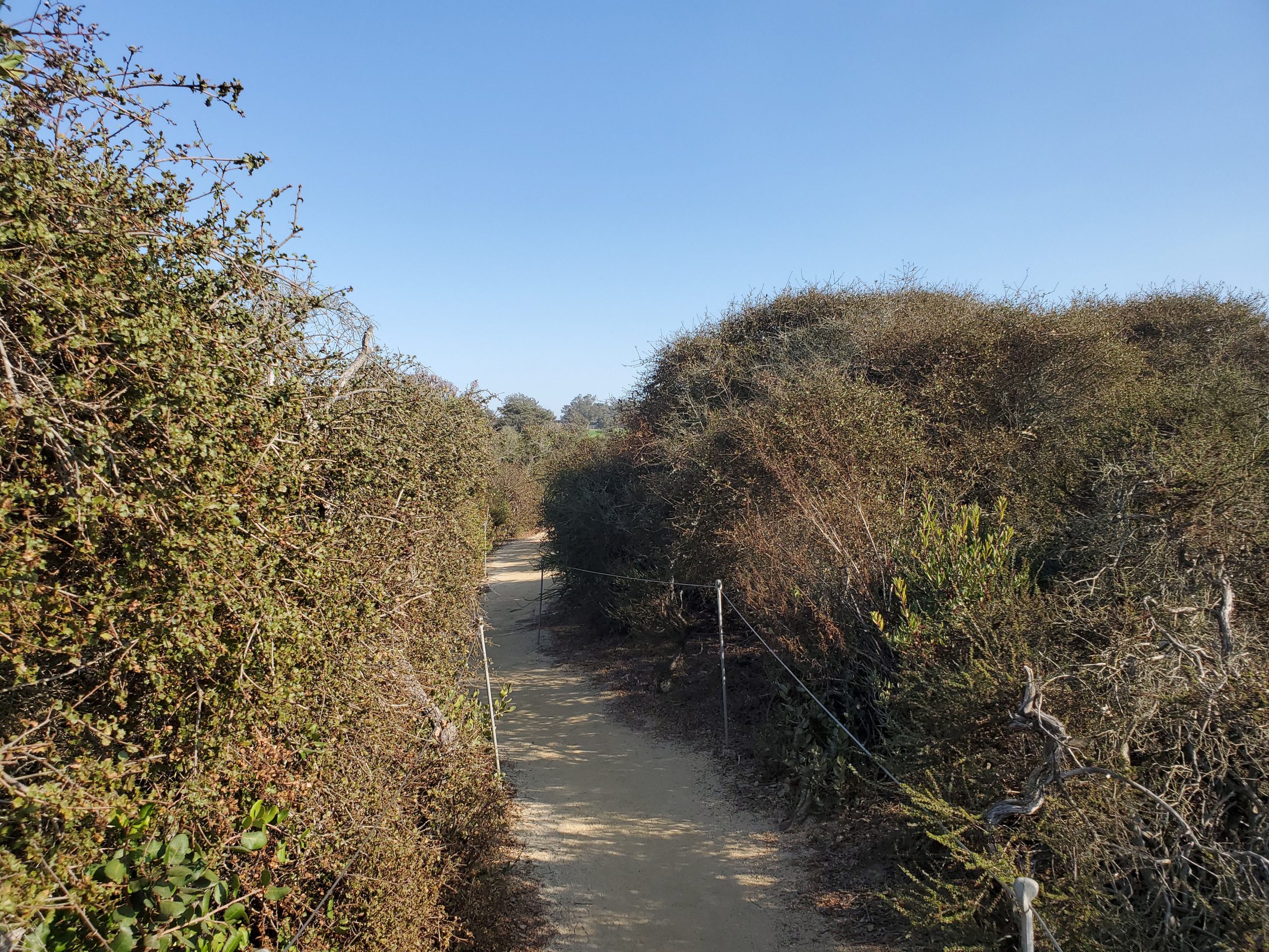 Broken Hill Trail