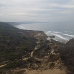 Torrey Pines