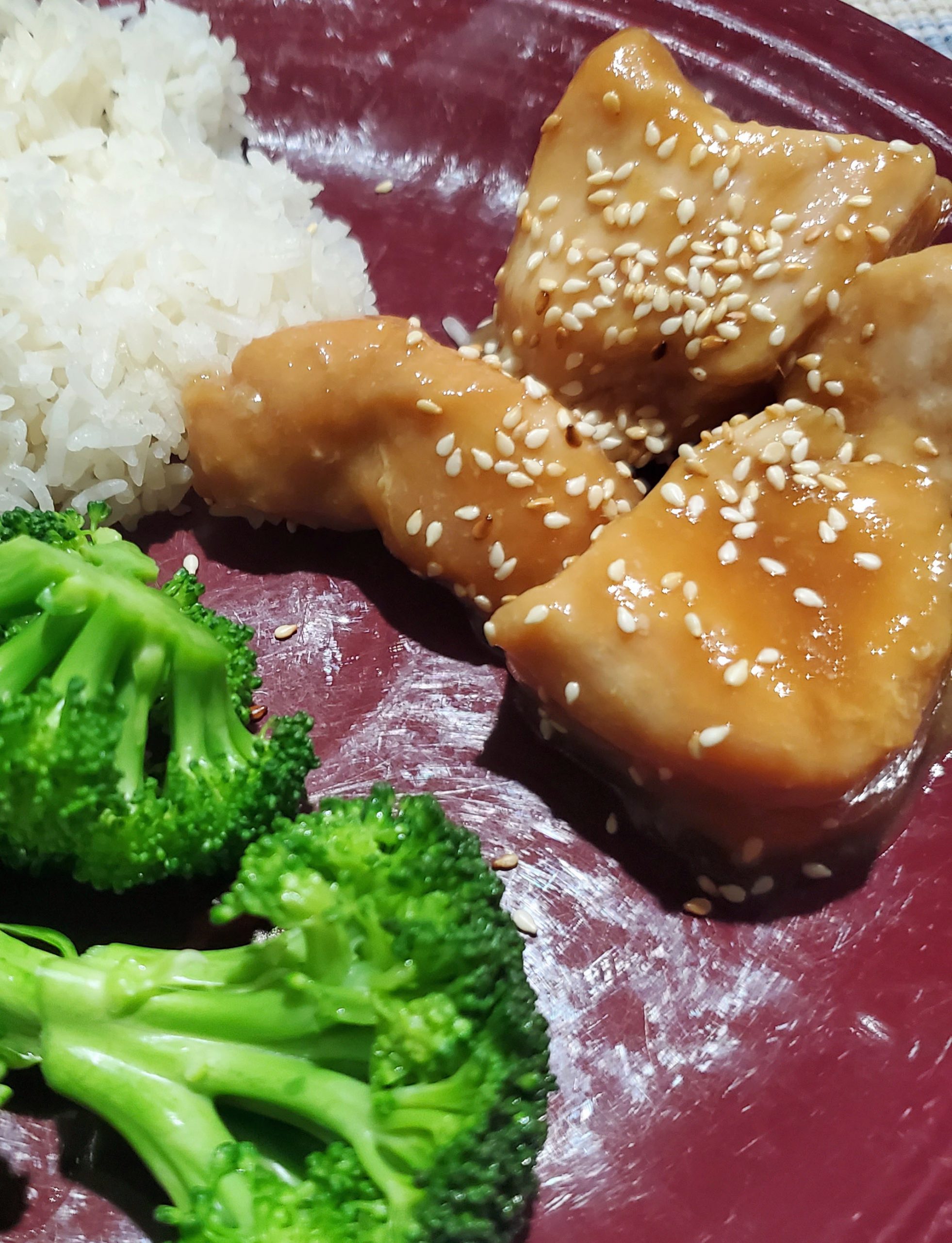 Cole Cooks: Sous Vide Teriyaki Chicken - Fun Diego Family